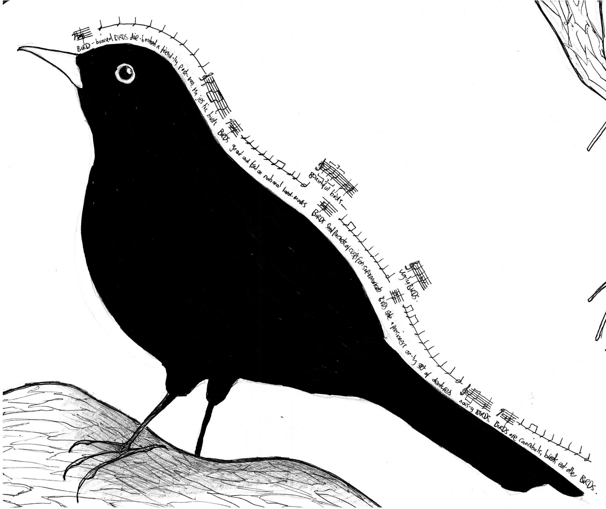 One of the birds from Emily Peasgood's 'BIRDS and other Stories' graphic score. A blackbird with musical notes around it.